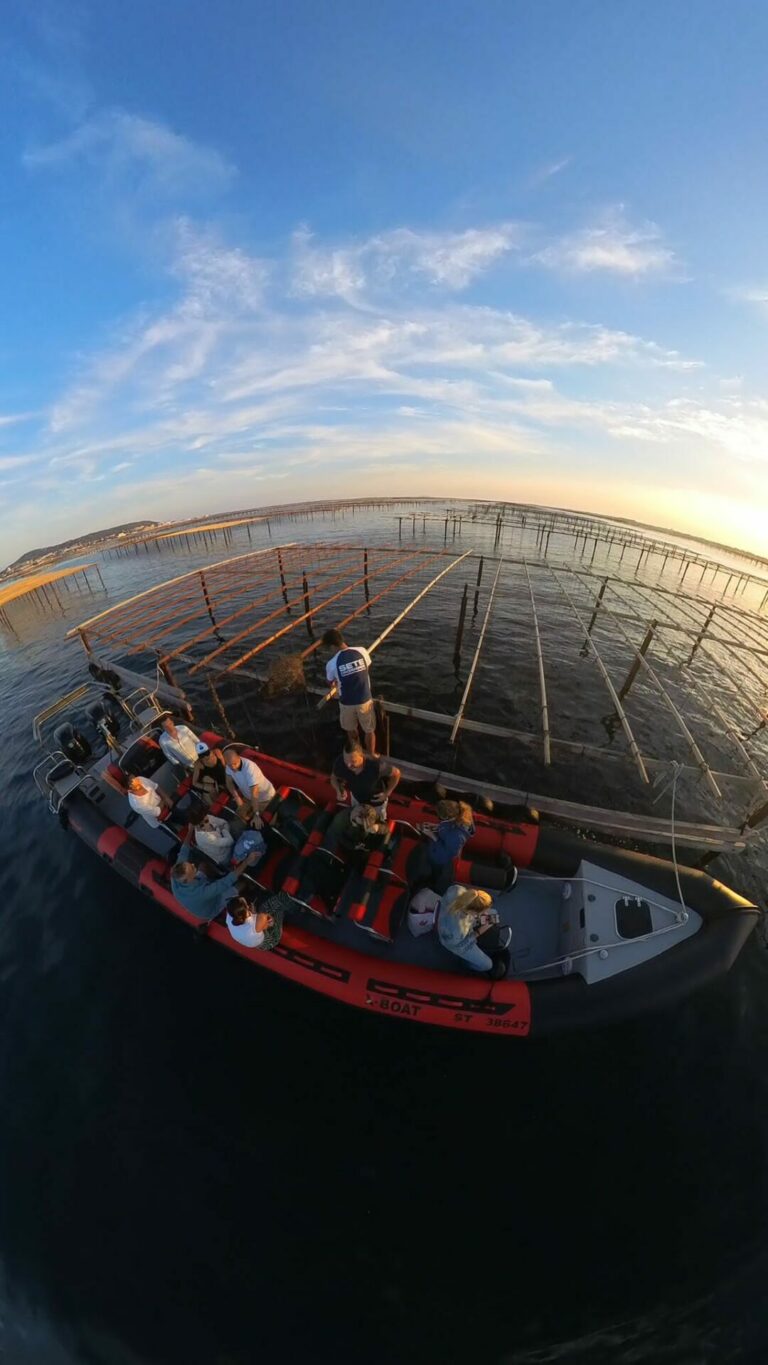 Bateau semi-rigide de 12 places X-boat de Sète Croisières