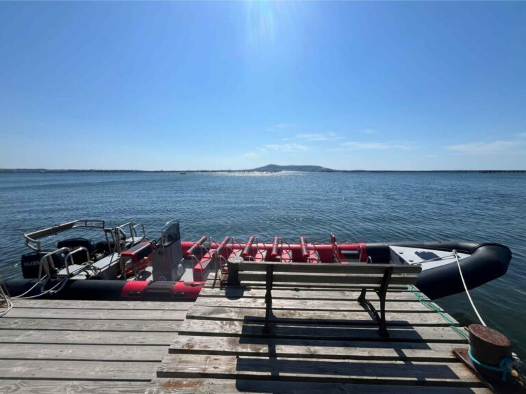 Bateau semi-rigide de 12 places X-boat de Sète Croisières
