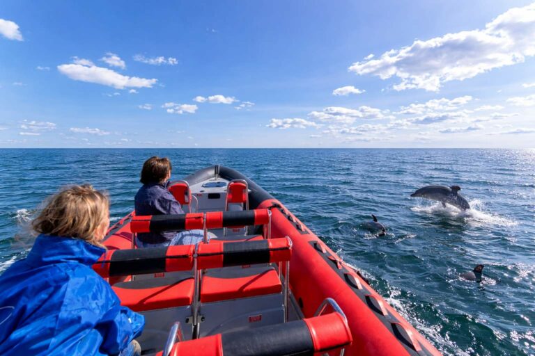 Promenade dauphins en X-boat 12 places avec Sète Croisières
